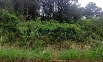 Imagem 4: INBOX CIA IMOBILIÁRIA VENDE EM BENTO GONÇALVES - Terreno pronto para construção do Loteame