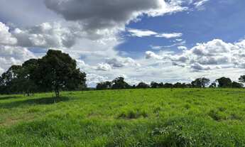 Imagem 4: Fazenda de 180 hectares dupla aptidão negócio de oportunidade