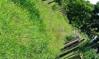 Imagem 5: SITIO ACORIZAL MT