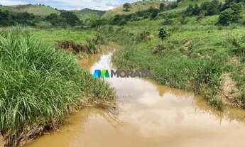Imagem 6: FAZENDA À VENDA - 135 HECTARES - RIO CASCA (MG