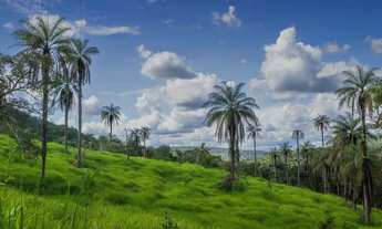 Imagem 7: Vendo Terrenos de 20.000m2 em Condomínio Fechado Rural em Lagoa Santa