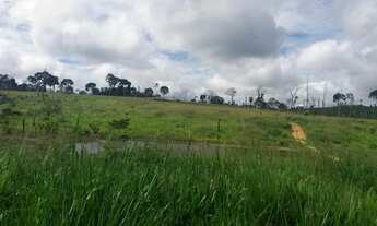 Imagem 6: Terra 20 Alqueires 11.000 por alqueires