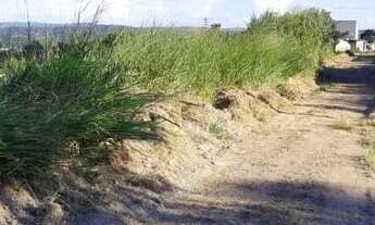 Imagem 6: Lote com 366 m² apenas R$ 28.000,00