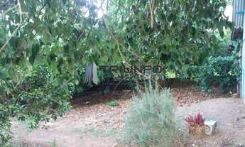 Imagem 5: Terreno com ótima localização em Três Coroas! te042