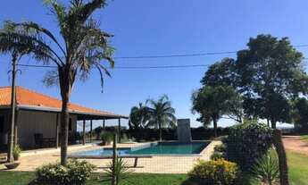 Imagem 2: Fazenda 1350 alqueires Região de Parecis