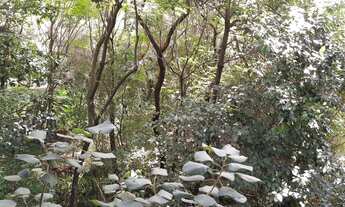 Imagem 4: Triplex Baixou o valor!