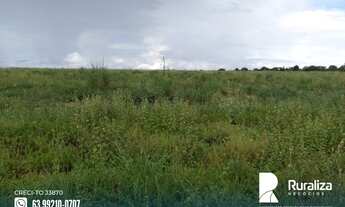 Imagem 6: Ótima oportunidade de fazenda para agricultura com potencial de irrigação em Tupiratins