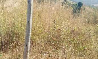 Imagem 4: Chácara para venda no Incra 9 - DF Boa Esperança