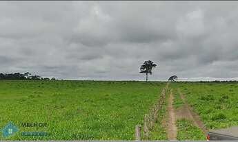 Imagem 2: Fazenda 549 Alqueires Região de Pimenta Bueno