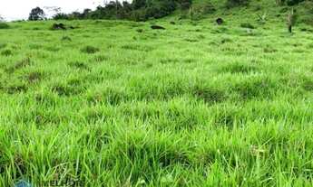 Imagem 5: Fazenda 210 alqueires Machadinho D' Oeste