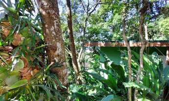 Imagem 2: Casa de condomínio para venda possui 270 metros quadrados com 3 quartos