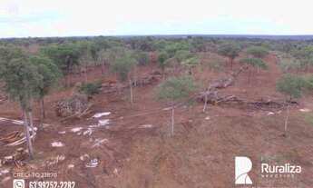 Imagem 6: Fazenda com excelente aptidão para soja em Lagoa da Confusão -TO