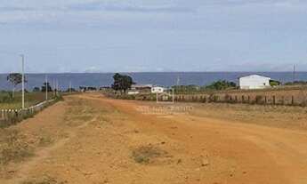 Imagem 1: Fazenda Santa Rita Trielato MT