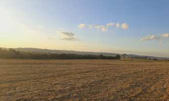 Imagem 3: Fazenda/Sítio a venda com 15alq. 72,6Ha em lavoura - Itaberaí - Goiás