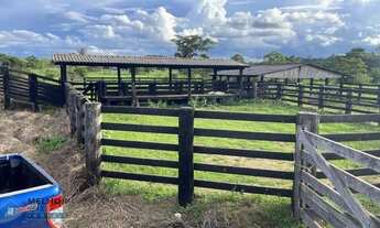 Imagem 5: Sítio 40 alqueires Região Jorge Teixeira