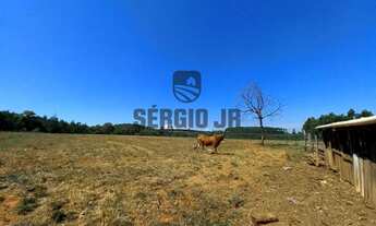 Imagem 6: Sítio com 7,1h, casa, galpão, piscina em Triunfo - Aceito veículo