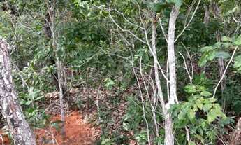 Imagem 3: OPORTUNIDADE DE INVESTIMENTO, FAZENDA DUPLA APTIDÃO X PECUARIA, ÁREA TOTAL 2100 HECTARES