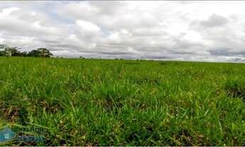 Imagem 4: Fazenda 140 alqueires Machadinho D'oeste