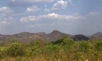 Imagem 5: Fazenda 2.350 ALQ, Paranã - TO