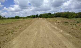 Imagem 4: Vendo terreno Plano, no Km 12 de Aldeia, excelente para empreendimentos