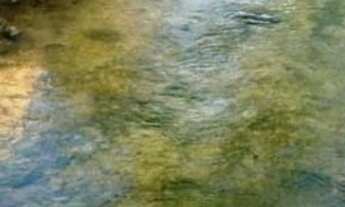 Imagem: Fazenda 930 Alq. (4.500 Há). Taipas do