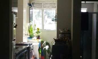 Imagem 4: São Paulo - Apartamento Padrão - São Miguel Paulista