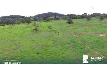 Imagem 2: Fazenda com aptidão para pecuária na região de Itaporã do Tocantins - TO