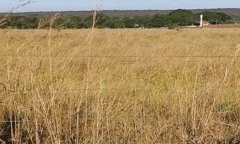 Imagem: ÓTIMA FAZENDA EM BALSAS