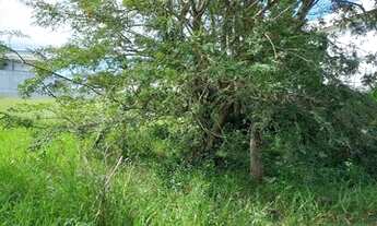 Imagem 3: Terreno em Condomínio Vista do Mar