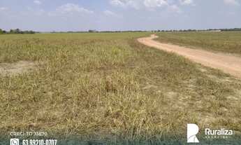 Imagem 2: Fazenda com 4.602,69 hectares e alto potencial para agricultura na região de Goianorte - T