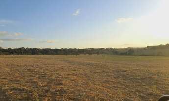 Imagem 4: Fazenda/Sítio a venda com 15alq. 72,6Ha em lavoura - Itaberaí - Goiás