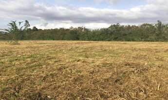 Imagem 7: Vendo terreno Plano, no Km 12 de Aldeia, excelente para empreendimentos