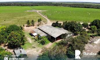 Imagem 3: Fazenda com dupla aptidão em Guaraí - TO