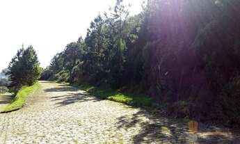 Imagem: Terreno à venda, 985 m² por R$ 230.000,00