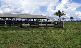 Imagem 7: Fazenda 170 alqueires Região de Candeias do Jamari