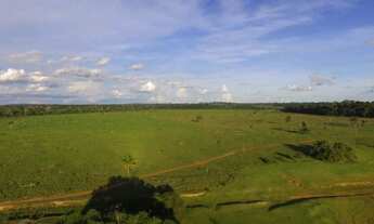 Imagem: Fazenda 105 alqueires Itapuã D Oeste