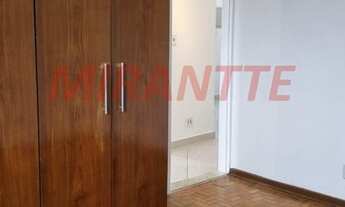 Imagem 7: Lindo apartamento em Jardim São Paulo