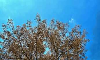 Imagem 5: Condomínio de casas para aluguel, tem 63 m² com 2 quartos, sacada e uma vaga em Riviera Pa