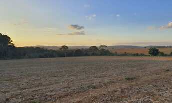 Imagem 5: Fazenda/Sítio a venda com 15alq. 72,6Ha em lavoura - Itaberaí - Goiás