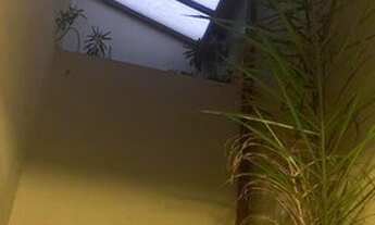 Imagem 5: Casa para Venda em São Paulo, Vila Nova Mazzei, 4 dormitórios, 1 suíte, 4 banheiros, 2 vag