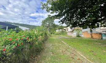 Imagem 5: Terreno Jurerê Tradicional