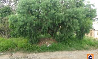 Imagem 2: Terreno à venda em Nova Rússia