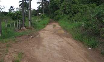 Imagem 3: Vendo maravilhoso sítio em Jaguaripe