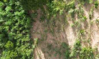 Imagem 3: VENDO TERRENO TROPICAL VILLE