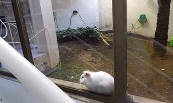 Imagem 13: Linda casa na Ilha do Boi