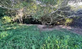 Imagem 5: Vendo chácara Chácara com venda por R$400.000