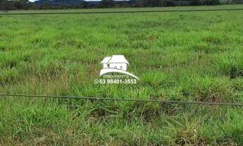 Imagem 7: Fazenda para Venda em Pedro Afonso, Região altamente produtiva