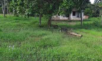 Imagem: Vendo maravilhoso sítio em Jaguaripe