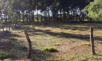 Imagem 2: Lindo terreno aproximadamente 600mts do asfalto da Ambev