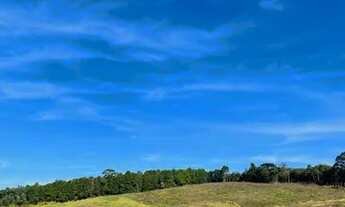 Imagem 6: Lote/Terreno para venda possui 500 metros quadrados em Cachoeira - Cotia - SP